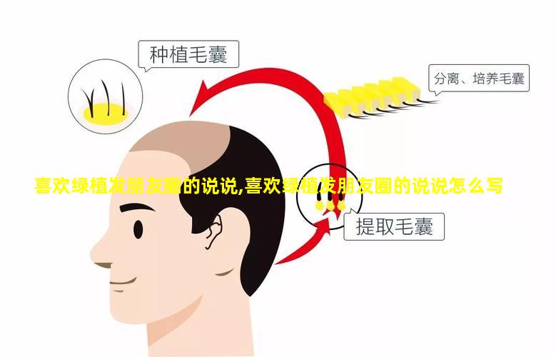 喜欢绿植发朋友圈的说说,喜欢绿植发朋友圈的说说怎么写